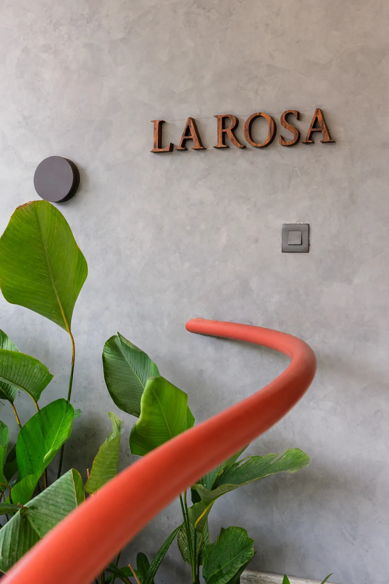 A red line to follow — La Rosa