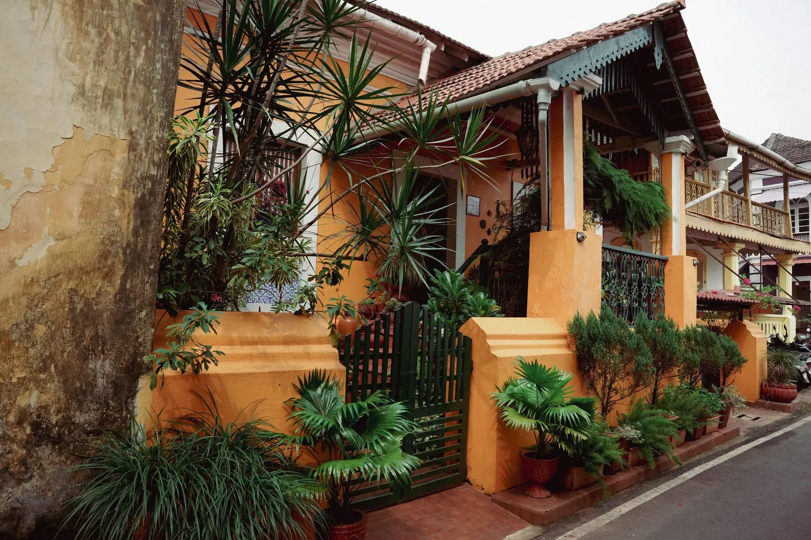 Goan heritage house shaded by dense planting