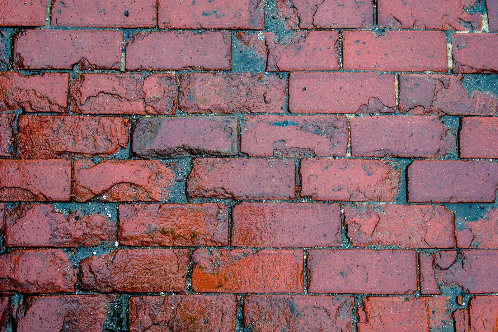 Rain-darkened brickwork